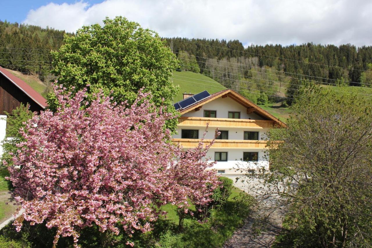 Eiblhof Daire Schladming Dış mekan fotoğraf