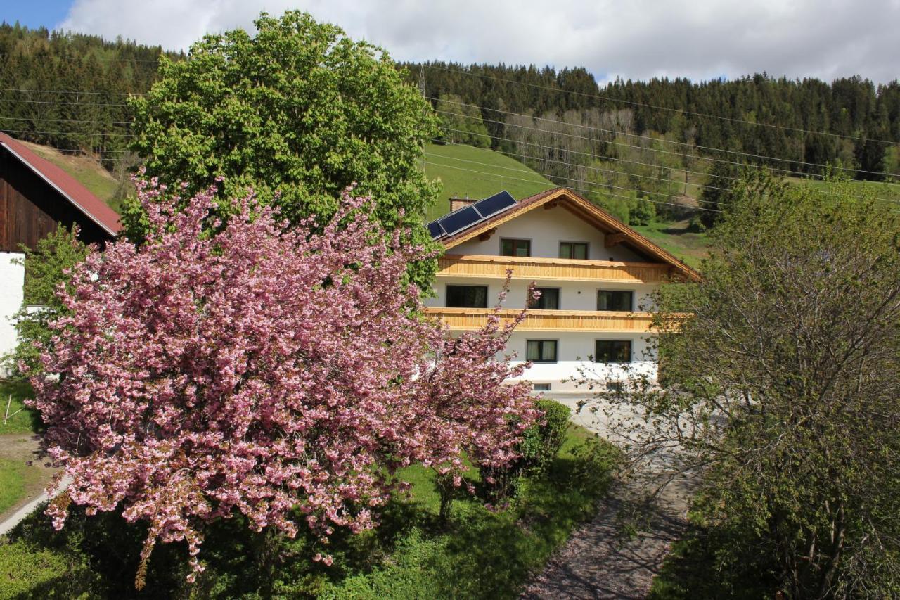 Eiblhof Daire Schladming Dış mekan fotoğraf